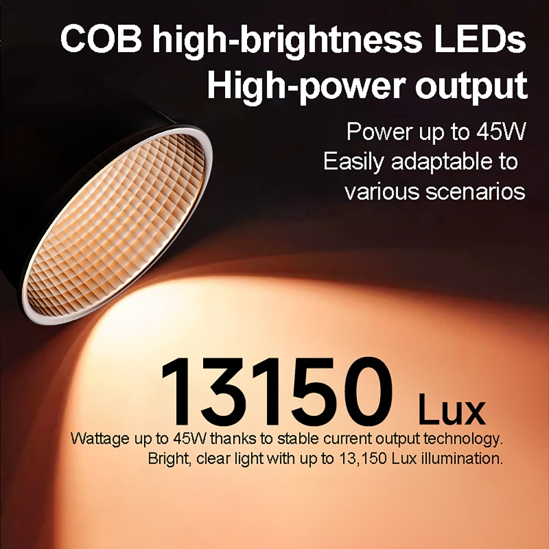 60W RGB Video Light Portable L - đánh giá và giá Photography Lighting Professional